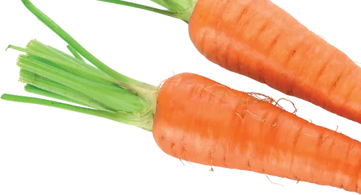 Sárgarépa